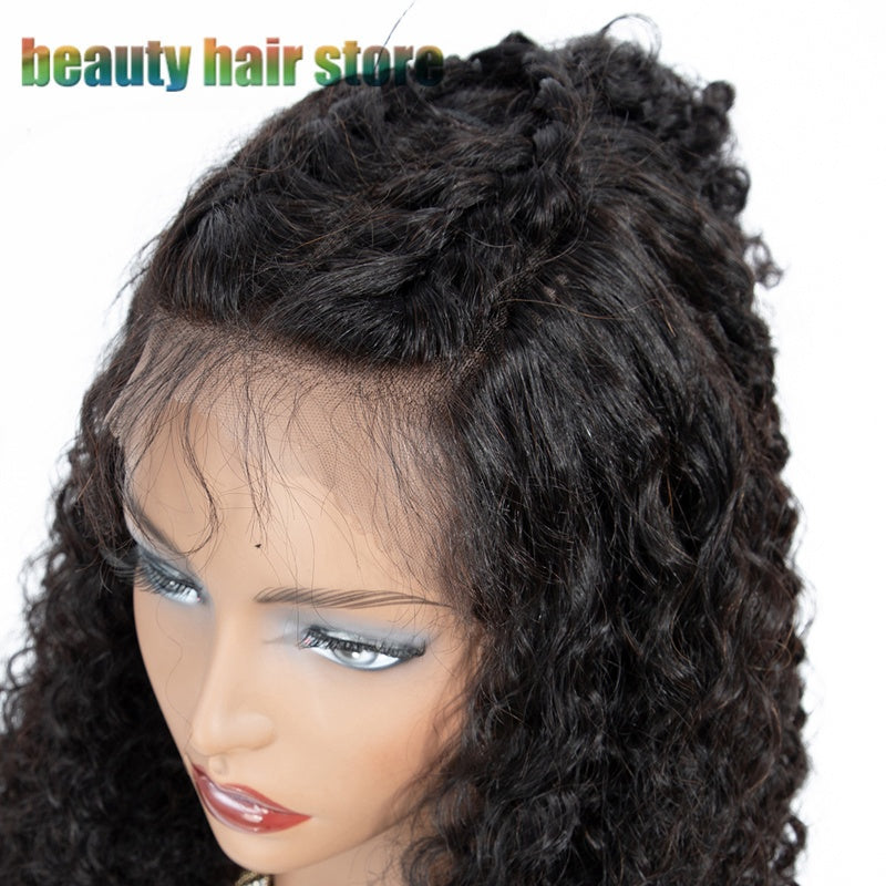 Brazilian Curly Human Hair Wig - Lace Front 150% Density