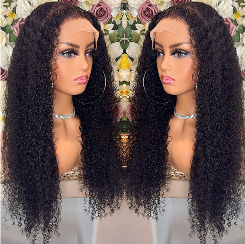 Brazilian Curly Human Hair Wig - Lace Front 150% Density